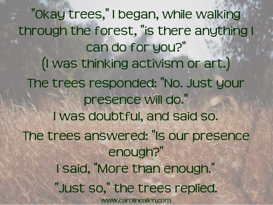 Image result for tree wisdom